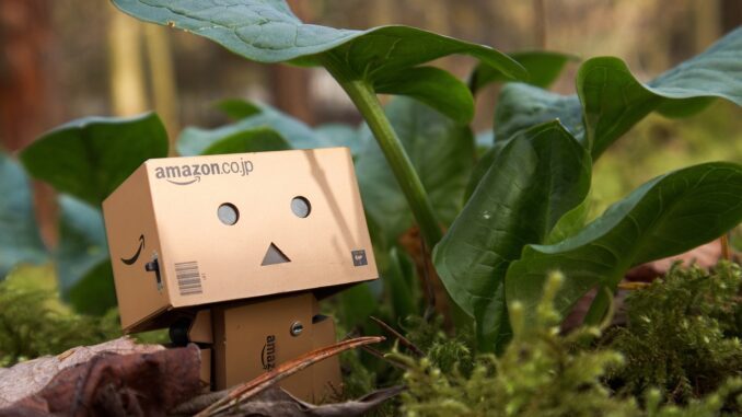 Photo by renereinsdorf canon, amazon, danbo, small, nature, tree, friends, leaves, green, german, rain, sun, spring, grass, light, environment, day